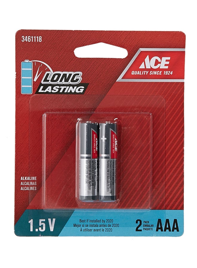 ACE 2-Piece AAA Alkaline Battery Set Silver/Black