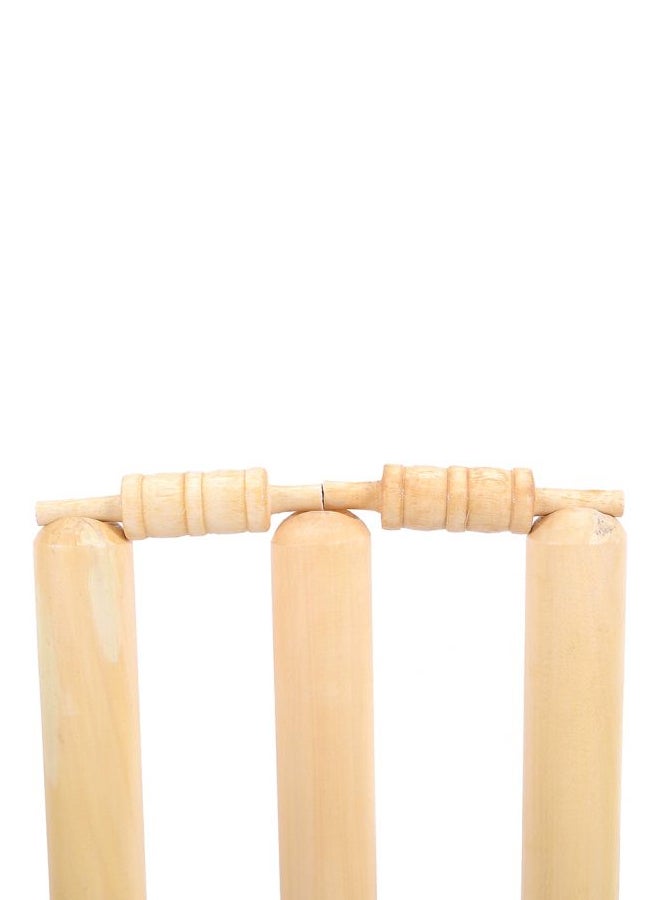 TA SPORTS Cricket Stumps With Spring Stand 28inch  - Image 5