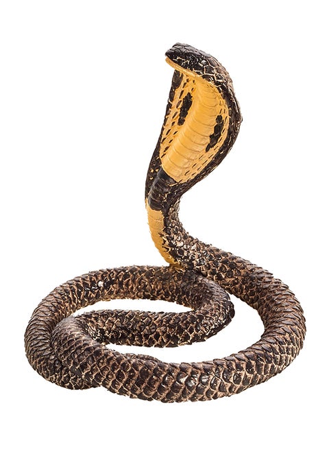 King Cobra Animal Figure