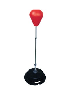 Boxing Trainer
