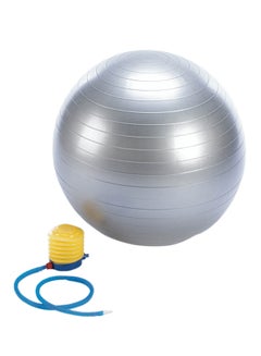 Kanteen Store Gym Core Swiss Ball - 65 cm 65cm 