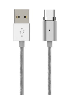 dodocool Detachable Magnetic USB-C Charge & Sync Cable With LED Indicator Silver  - Image 1