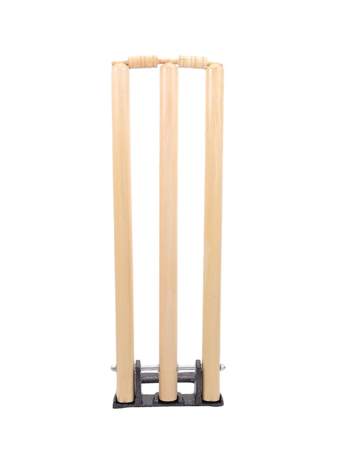 TA SPORTS Cricket Stumps With Spring Stand 28inch  - Image 1