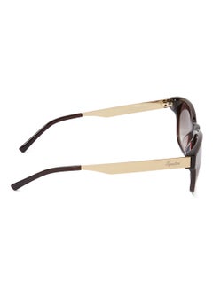 Signature Wayfarer Sunglasses SS1035 C3  - Image 3