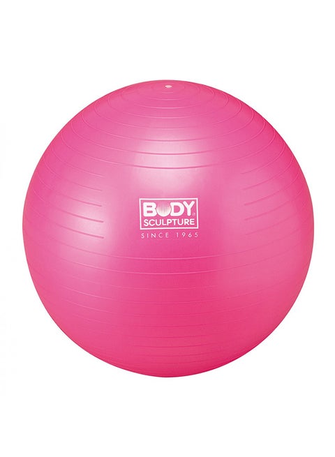 Anti-Burst Gymball 22inch