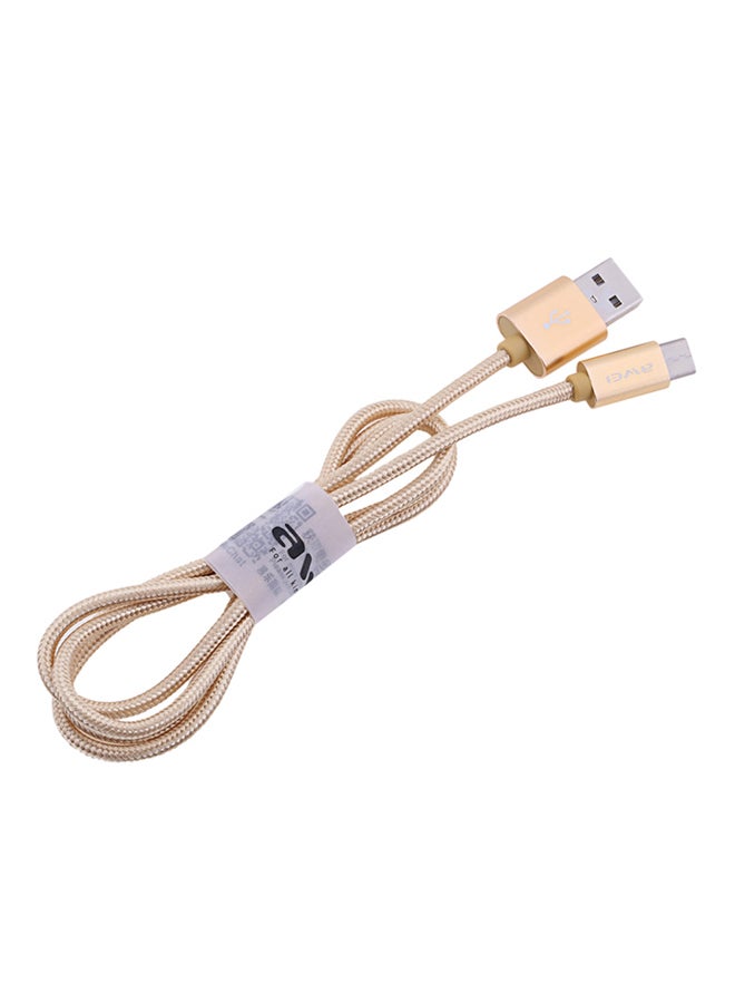 Awei Type-C Data Charging Cable Gold - Image 1