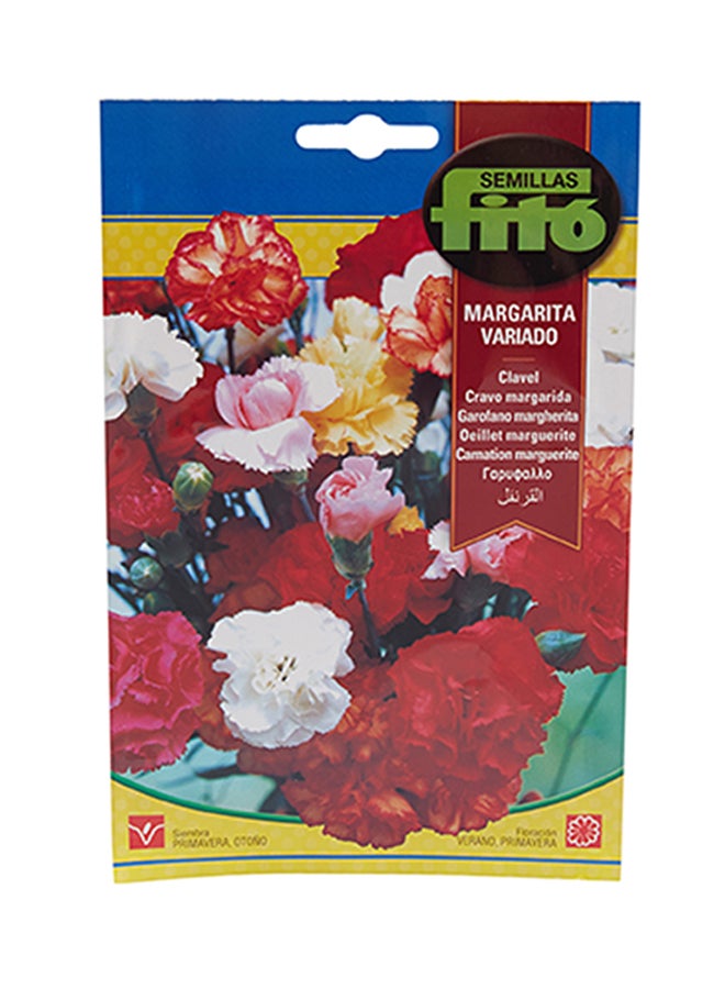 Fito Carnation Marguerite Mix 