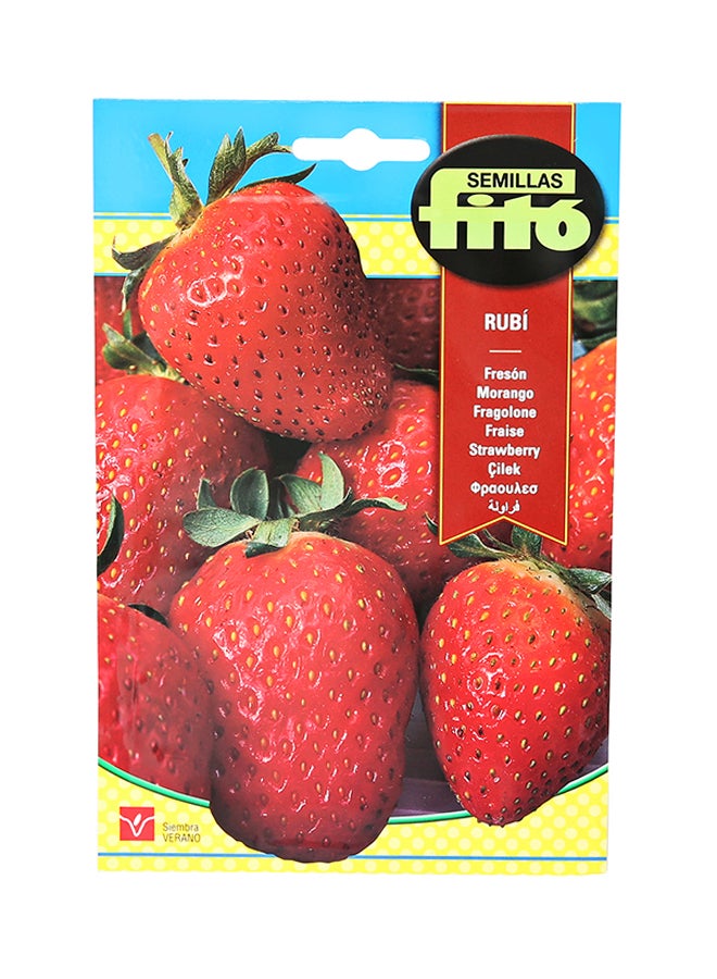 Fito Strawberry Ruby