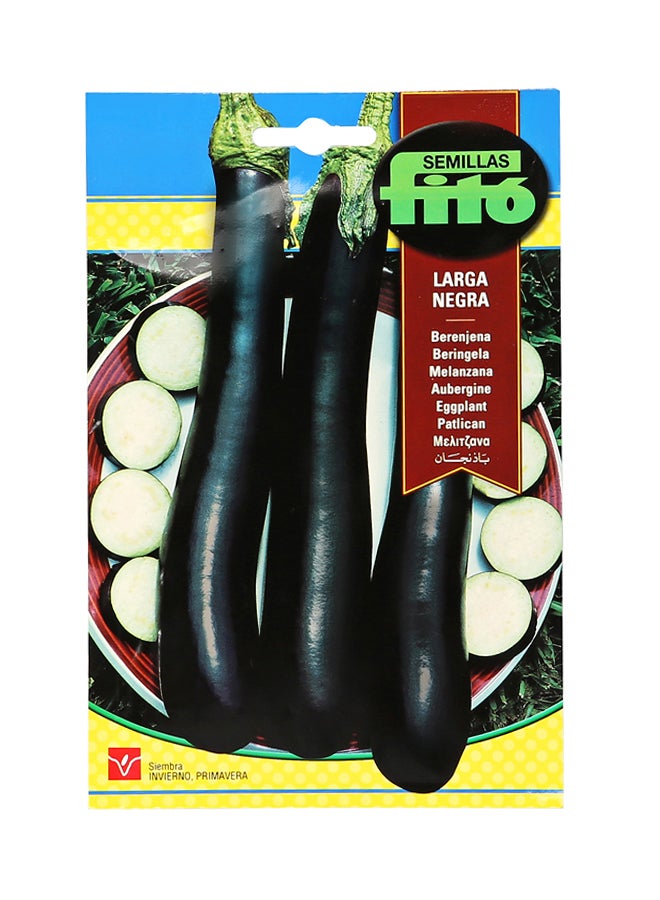 Fito Eggplant Long Black-13 3grams 