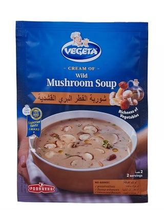 Cream of Wild Mushroom Soup 43grams - v1532782653/N11967555A_1
