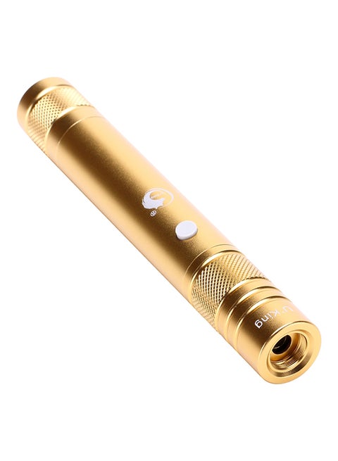 Laser Pointer Torch Pen Gold 21cm