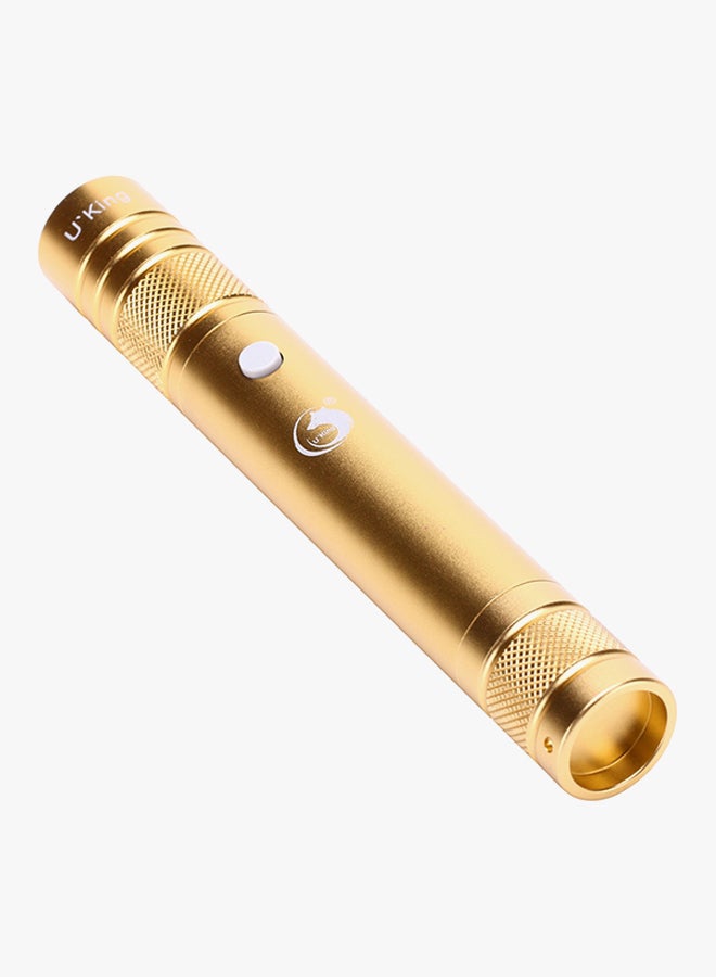 UKing - Laser Pointer Torch Pen Gold 21cm - Image 1