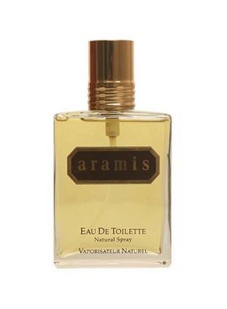 Aramis EDT 100ml - v1532944190/N12880850A_1