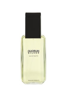 ANTONIO PUIG Quorum Silver EDT 100ml 