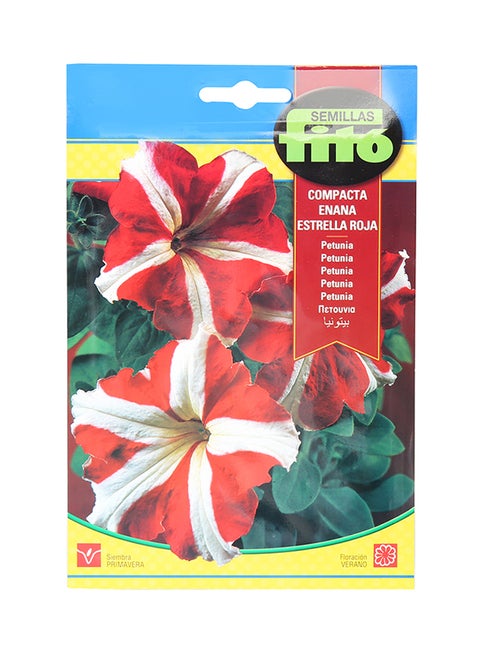 Petunia Dwarf Compact Seeds Red