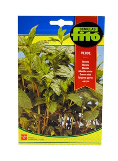 Fito Mint Seeds Green 