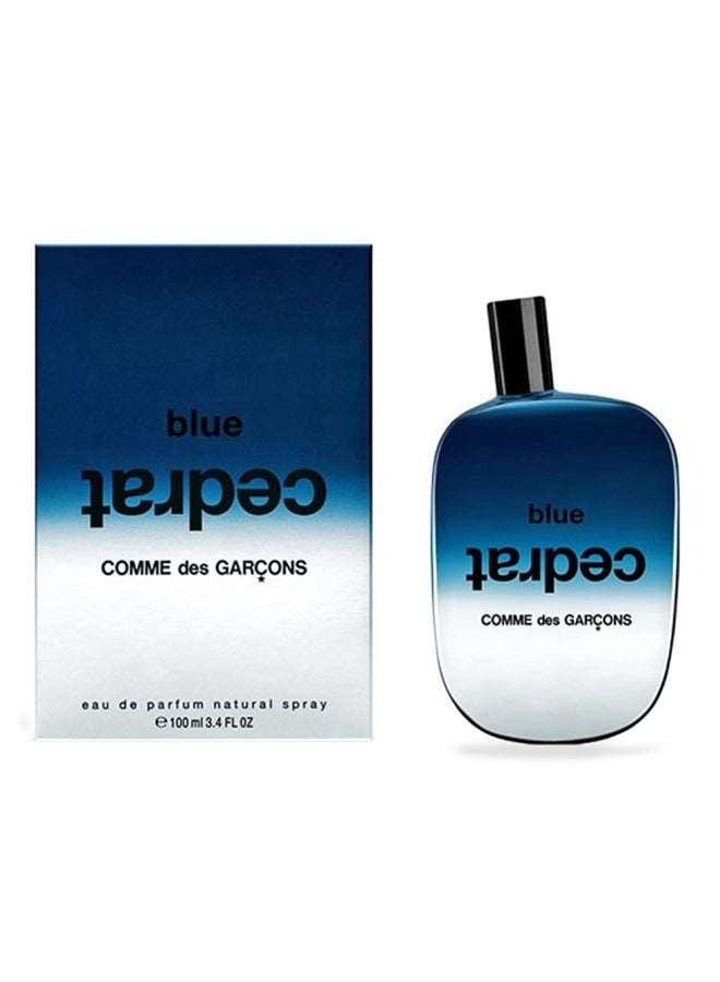 COMME DES GARCONS - Blue Cedrat EDP 100ml - Image 1