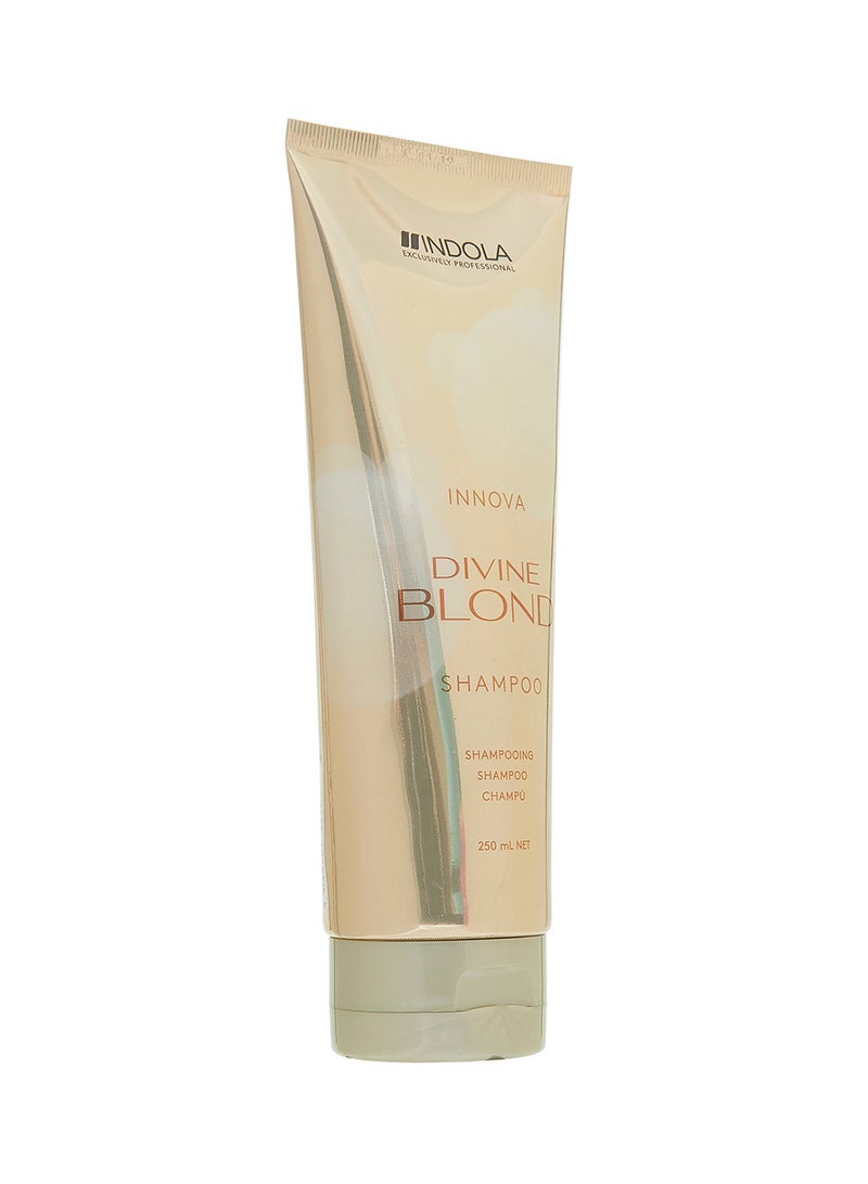 INDOLA Divine Blond Shampoo 250ml