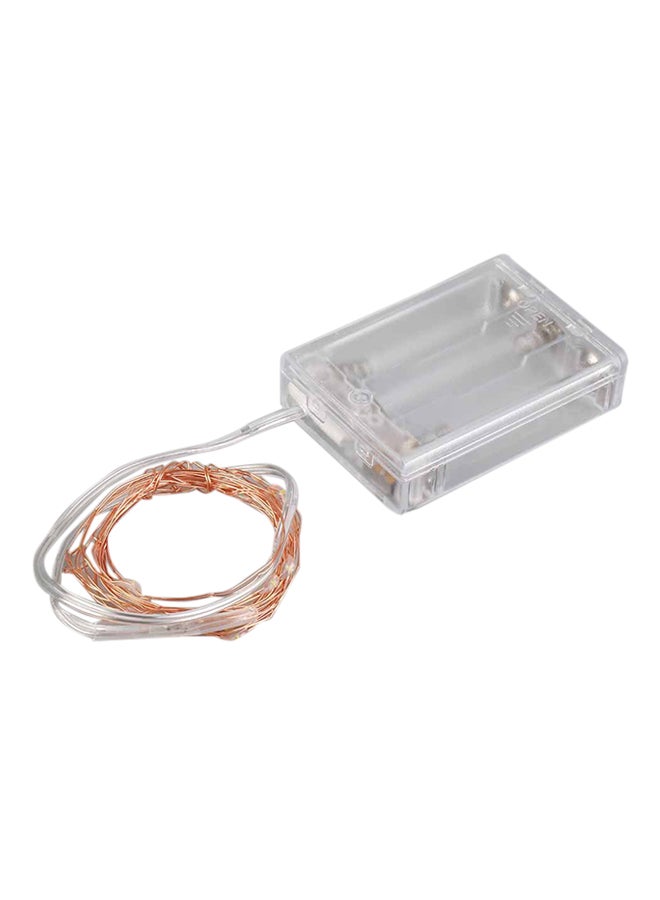 VANDER LIFE 20-LED Decorative Light String Clear/Brown 2meter - Image 1