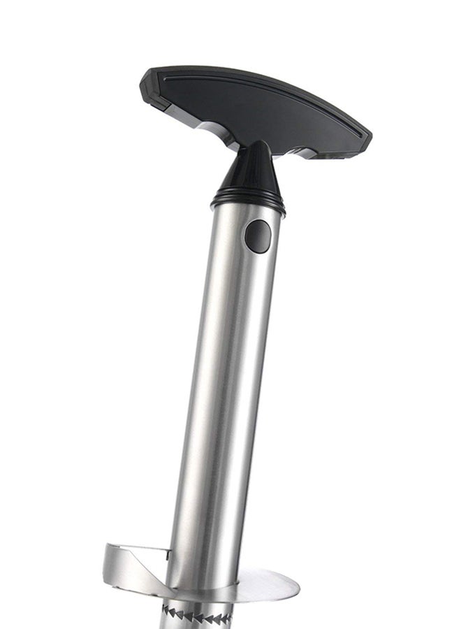 Flagship Pineapple Cutter Silver/Black  - Image 1