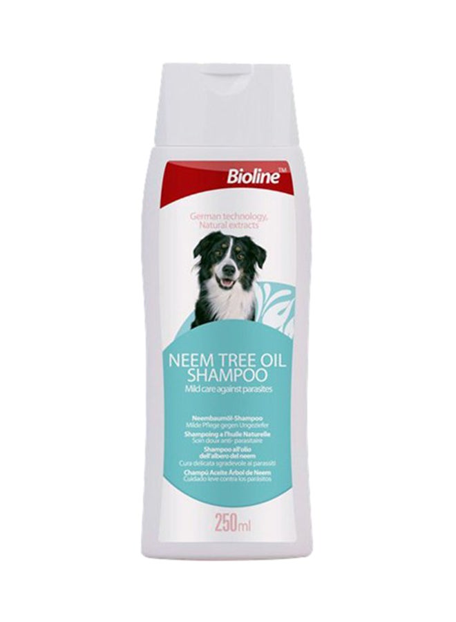 بايولاين شامبو زيت شجرة النيم متعدد الألوان 250ملليلتر