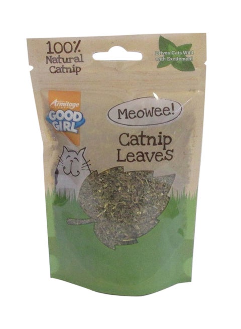 Catnip Leaves Green