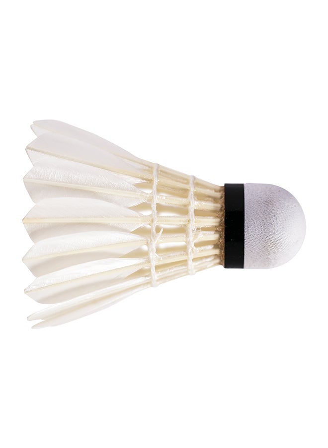 ASHAWAY Shuttlecock 