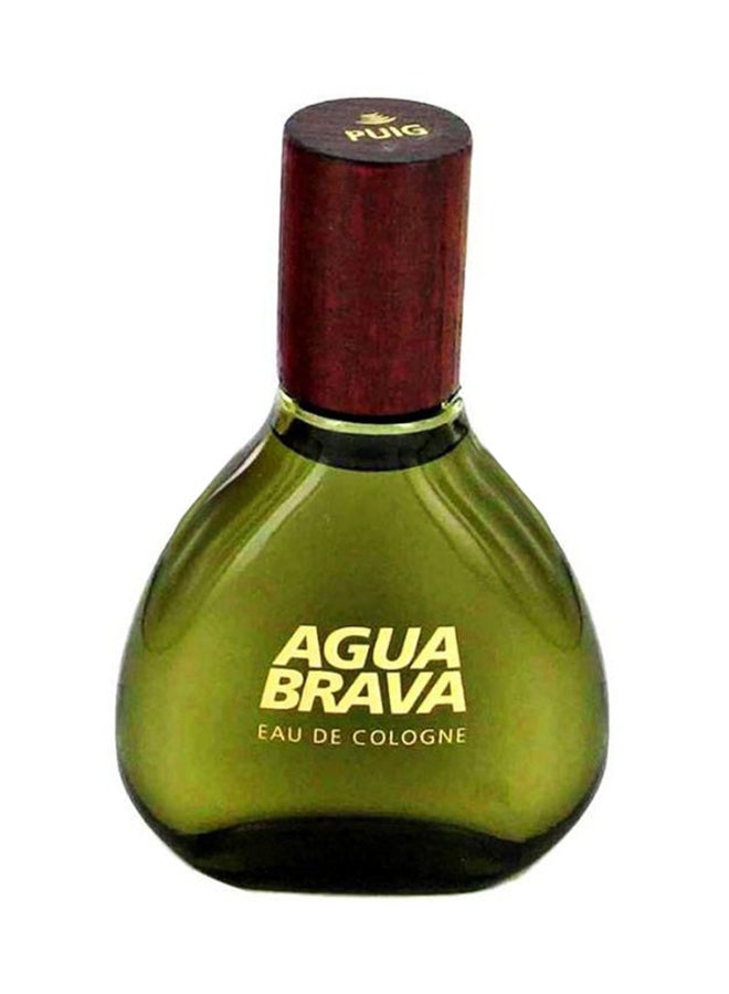 Agua Brava EDC 100ml - v1534852371/N13579454A_1