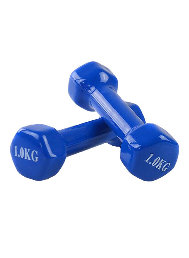 Set Of Dumbbells 1kg - v1534916626/N16529642A_1