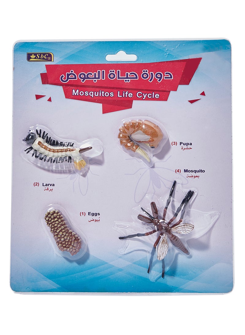 SBC Mosquitos Life Cycle Brown/Beige/Black