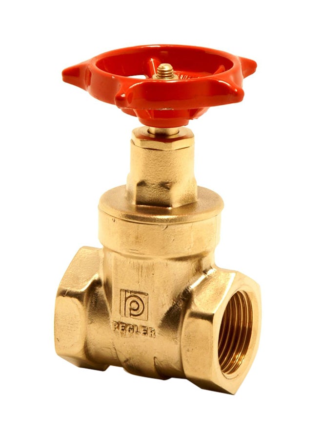 Brass Gate Valve Gold/Red 0.5inch - v1535705351/N16499428A_1