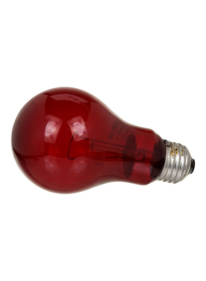 Zoo Med Nightlight Reptile Bulb Red/Silver - Image 1