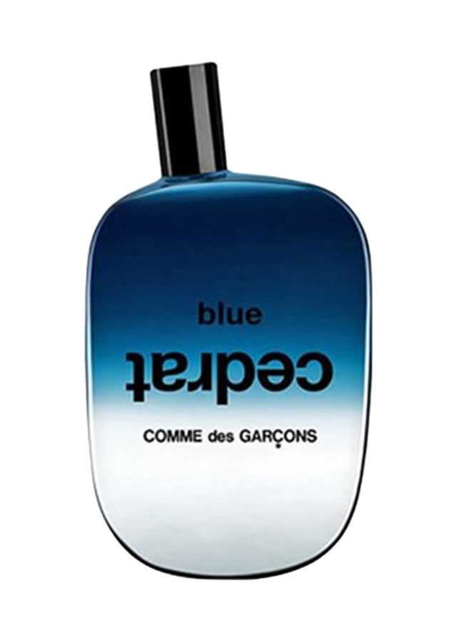 COMME DES GARCONS - Blue Cedrat EDP 100ml - Image 1
