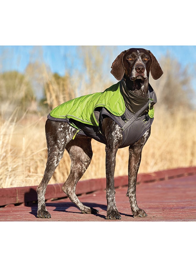Petstages - Telluride 2-In-1 Coat Black/Green XS - Image 1