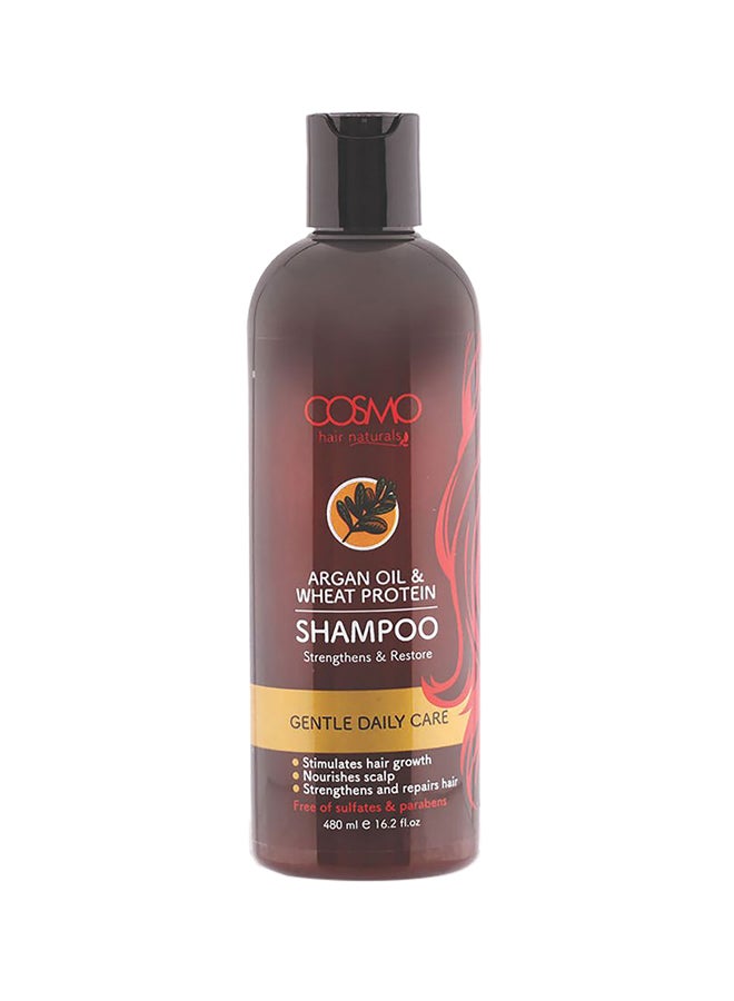 COSMO Argan Oil And Wheat Protein Gentle Daily Care Shampoo 480ml 