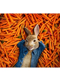 Peter Rabbit Wall Art Canvas Print Multicolour 50x45x3.5cm