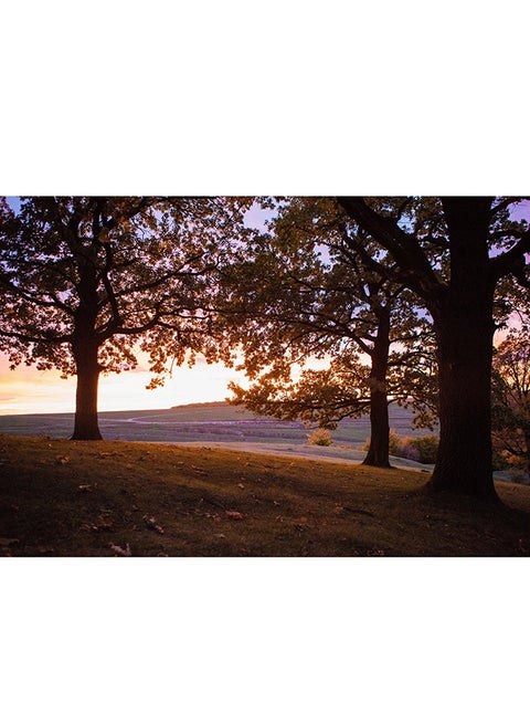 Sunset Suceava Trees Nature Wall Art Canvas Print Multicolour 50x34x3.5cm
