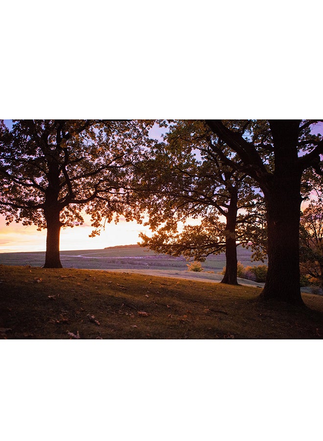 Sunset Suceava Trees Nature Wall Art Canvas Print Multicolour 50x34x3.5cm
