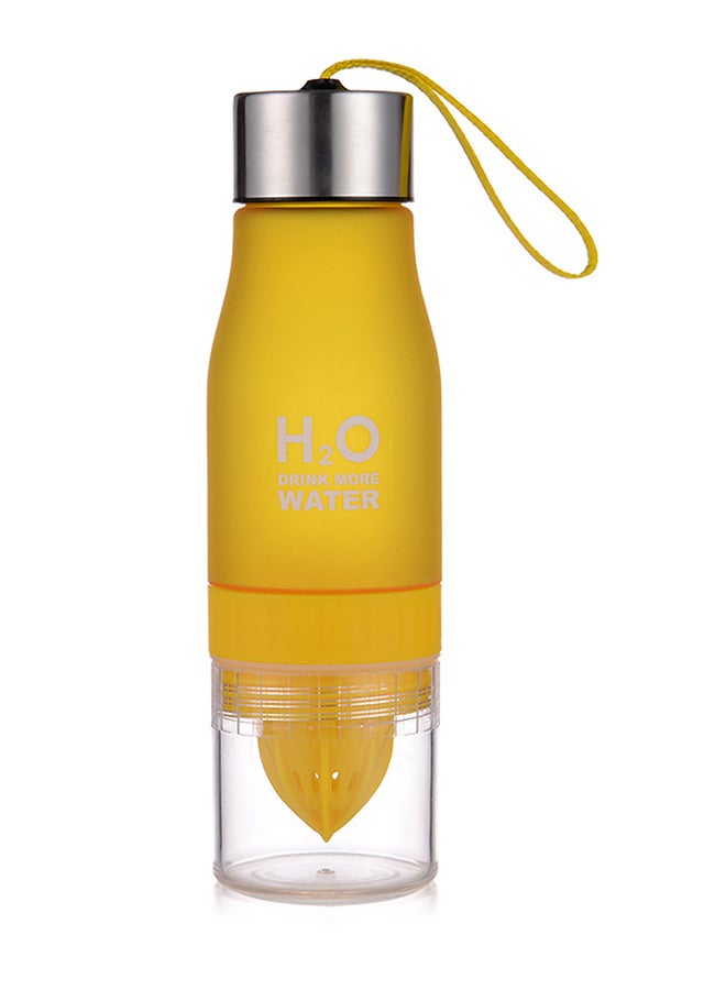 Parytretro Portable Infuser Water Bottle 650ml