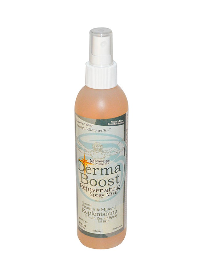 Morningstar Minerals Derma Boost Rejuvenating Spray Mist  - Image 1