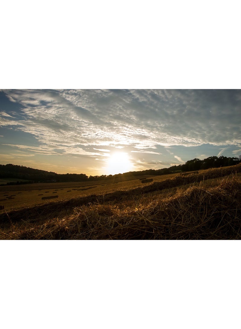 Field Grass Trees Sunlight Wall Art Canvas Print Multicolour 100x63x3.5cm