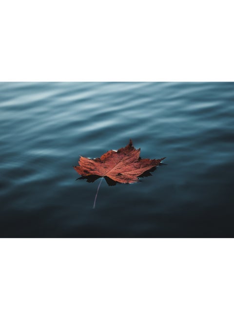 Orange Autumn Leaf Floating On Water Wall Art Canvas Print Multicolour 100x67x3.5cm
