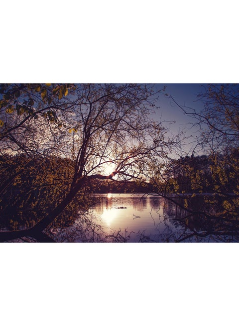 Yellow Trees Evening Dawn Lake Nature Wall Art Canvas Print Multicolour 100x67x3.5cm