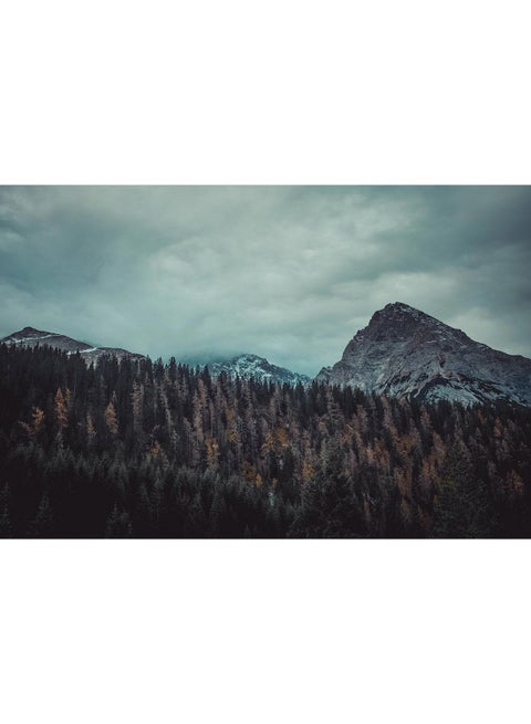 Trees And Mountains Wall Art Canvas Print Multicolour 100x67x3.5cm
