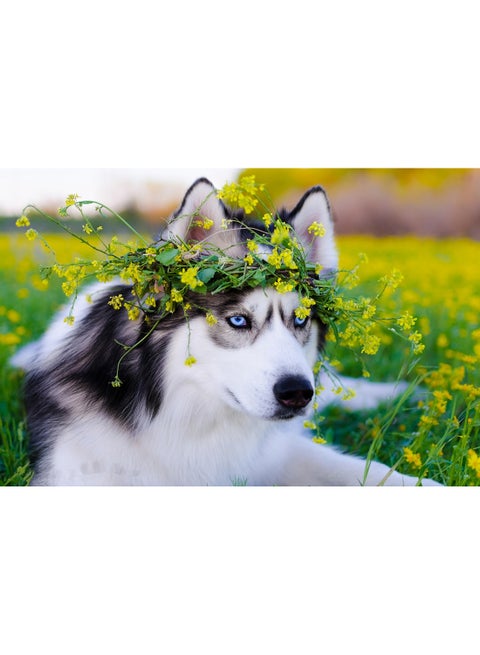 Siberian Husky Dog Wall Art Canvas Print Multicolour 100x66x3.5cm