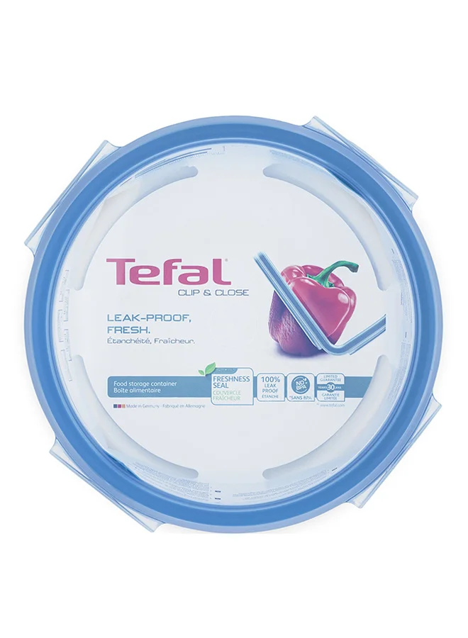 Tefal Masterseal Food Container