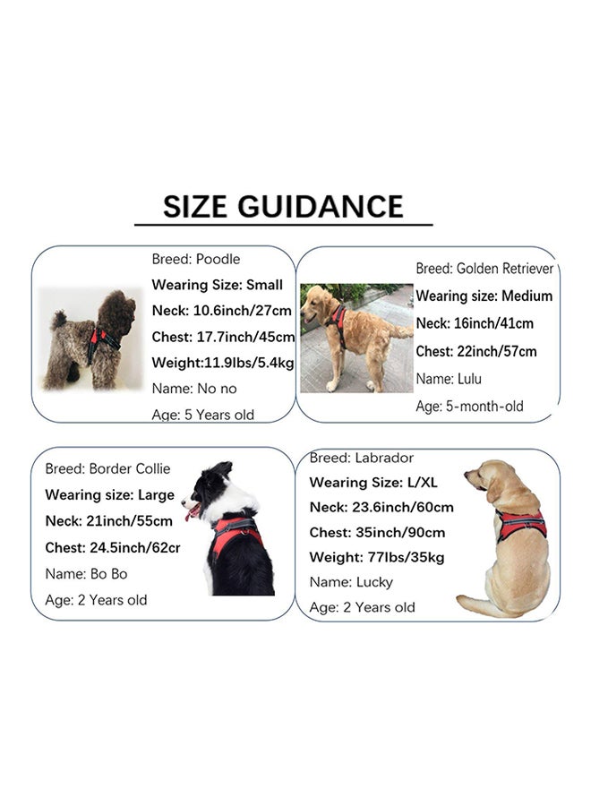 Adjustable Dog Harness Blue/Black - Image 4