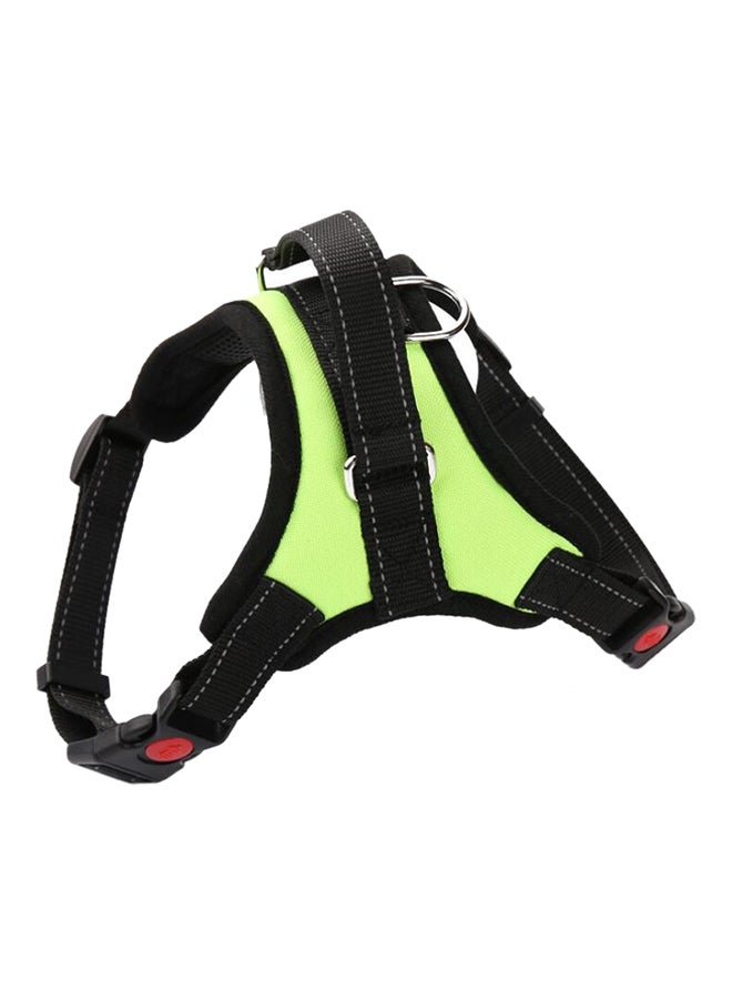 حزام كلب قابل للتعديل أخضر فاتح/أسود - Image 1