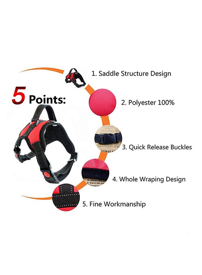 حزام كلب قابل للتعديل أخضر فاتح/أسود - Image 2