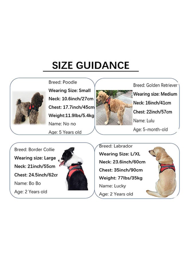 حزام كلب قابل للتعديل أخضر فاتح/أسود - Image 4